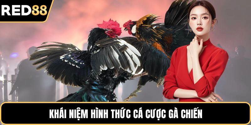 Khái niệm hình thức cá cược gà chiến