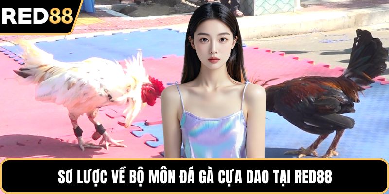 Sơ lược về bộ môn đá gà cựa dao tại RED88